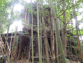 竹やぶの中に涼屋(離れ)、周りの竹を整備すれば仙人生活おくれます。