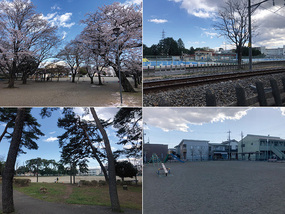 江曽島って広い公園結構ある。